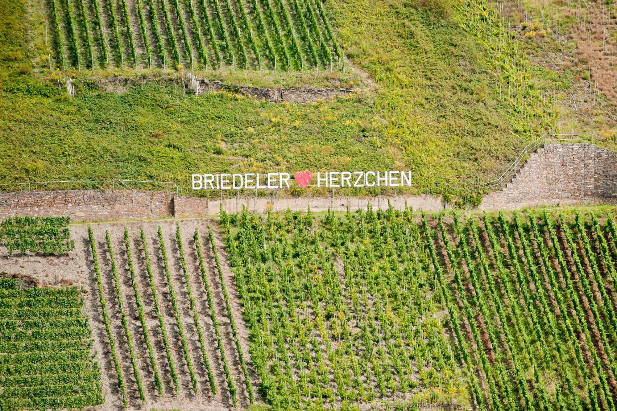 Wein- Und Sektgut Markus Hensler Briedel Eksteriør billede